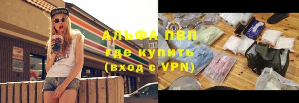 шишки Новодвинск