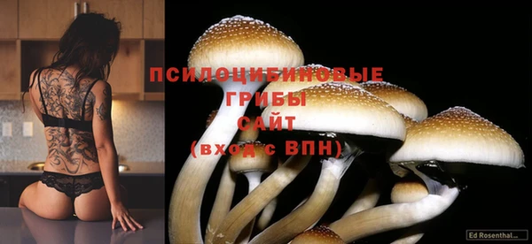 прущий лед Новозыбков