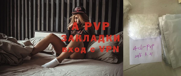 шишки Новодвинск