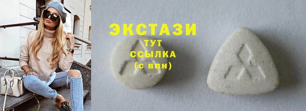 прущий лед Новозыбков