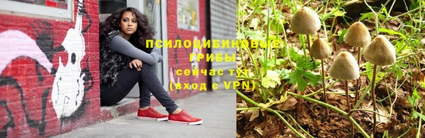 мяу мяу мука Нефтегорск