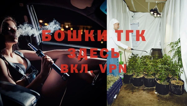 шишки Новодвинск
