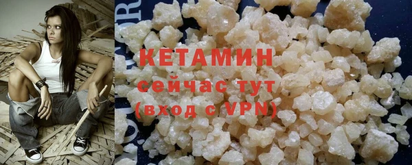 шишки Новодвинск