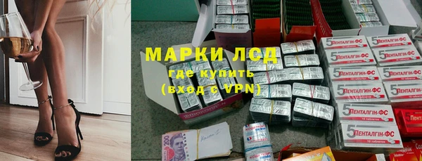 прущий лед Новозыбков