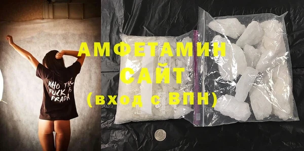 шишки Новодвинск