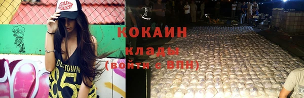 шишки Новодвинск
