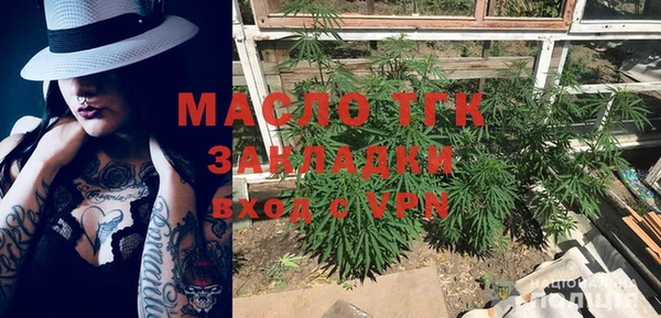 дживик Жердевка
