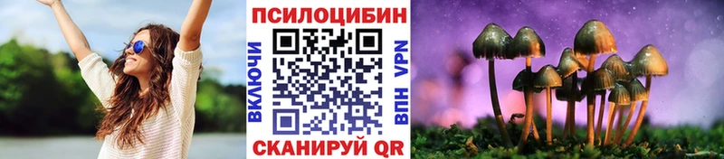 продажа наркотиков  Искитим  Галлюциногенные грибы Magic Shrooms 