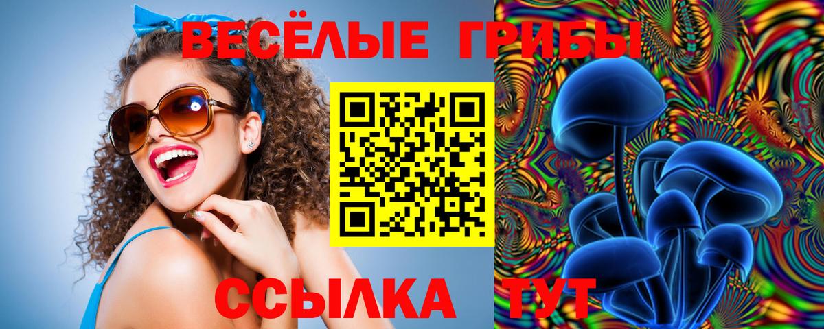 Галлюциногенные грибы прущие грибы  Искитим 